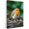 Roodborstje op een Boomstam Tuinposter op houten frame 2 cm dik klein -3d