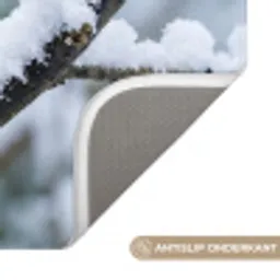 Roodborstje - Tak - Sneeuw - Winter - Levendig Badmat klein -USP_AntislipNL
