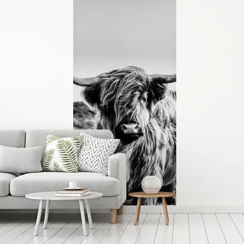 Koe - Schotse hooglander - Zwart - Wit - Dier - Natuur - Wild fotobehang vinyl groot -woonkamer