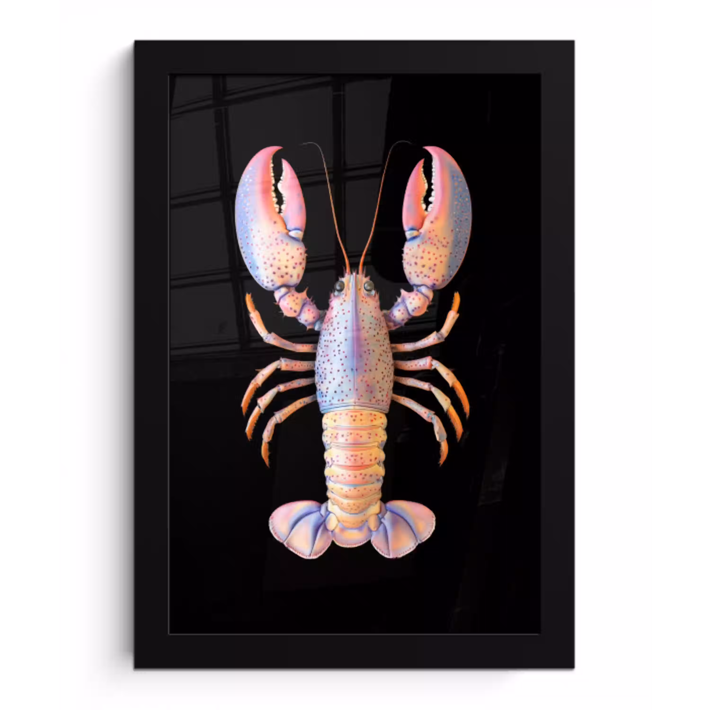 Kreeft - Roze - Zacht - Zwart fotolijst zwart zonder passe partout klein -3d