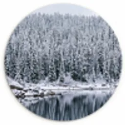 Bos - Reflectie - Meer - Winter - Serene Wandcirkel kunststof plaat 5mm dik klein -3d