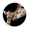 Giraffe - Dieren - Zwart - Portret - Dieren Wandcirkel aluminium klein -3d