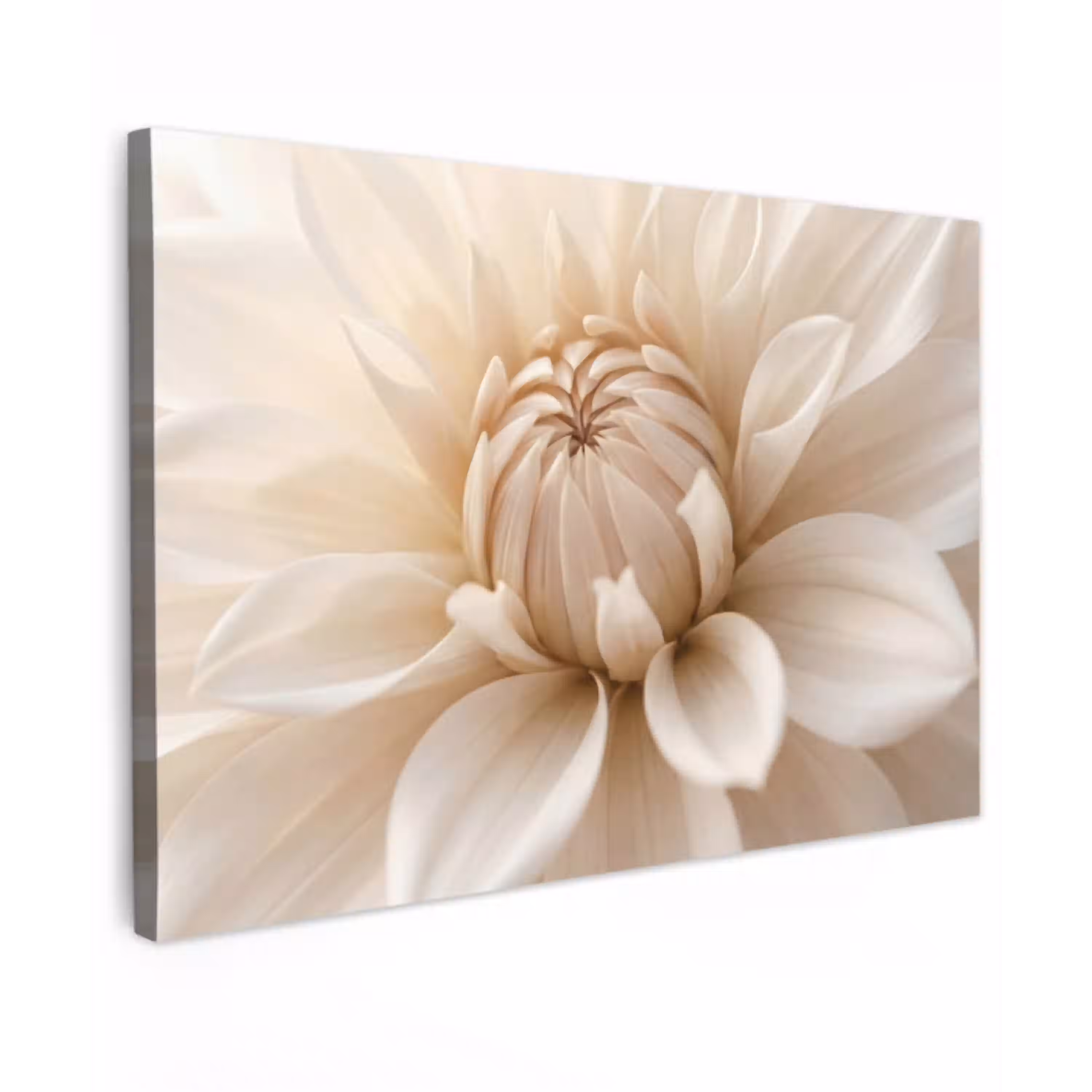 Bloem - Dahlia - Wit Tuinposter op houten frame 2 cm dik klein -3d