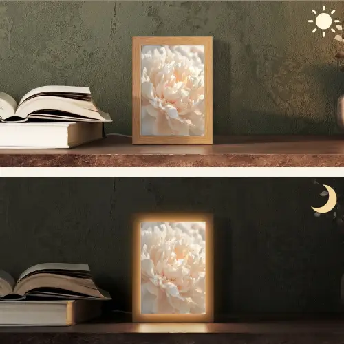 Close up - Pioenroos - Lichtroze Light Box met kabel (Tafellamp) klein -sfeer3