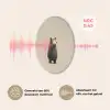 Beer - Donkerbruin - Minimalistisch Akoestische PET Vilt - Rond klein -USP_NL