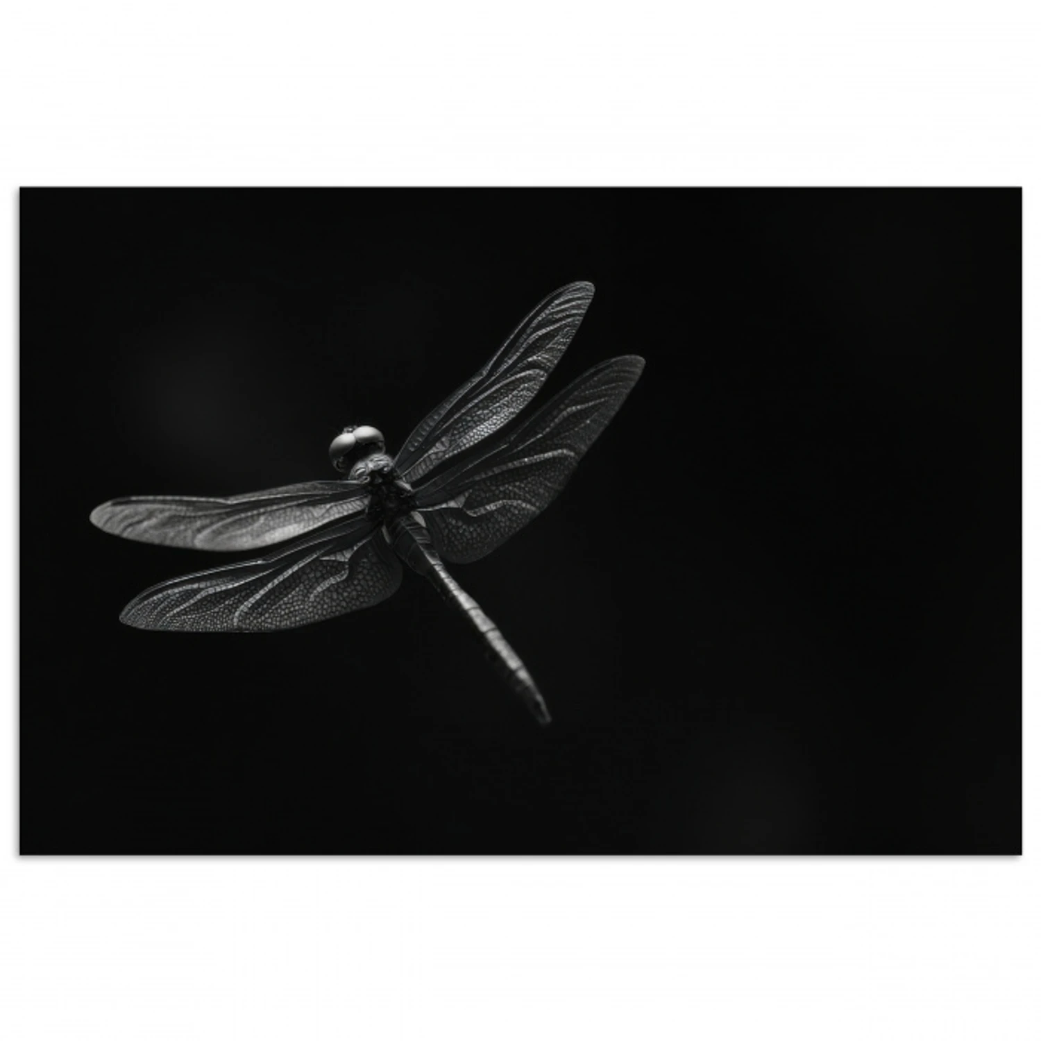 Libelle - Dieren - Zwart - Insect poster papier klein -3d