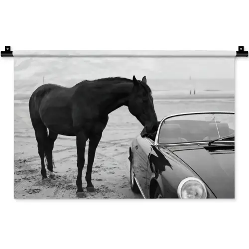 Paard - Auto - Zwart - Wit Wandkleed katoen klein -zz3d