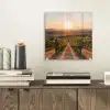 Wijngaard - Zonsondergang - Landschap plexiglas 5mm klein -sfeer1