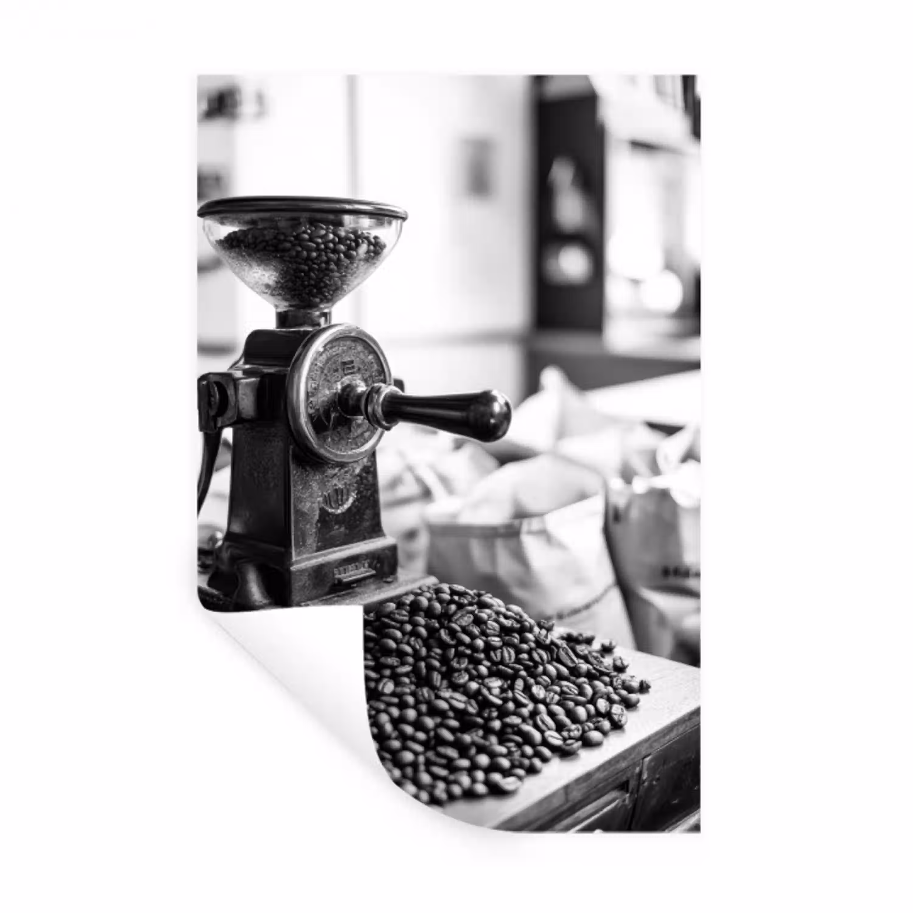 Koffiemolen - Gemalen - Vintage Muursticker klein -3d