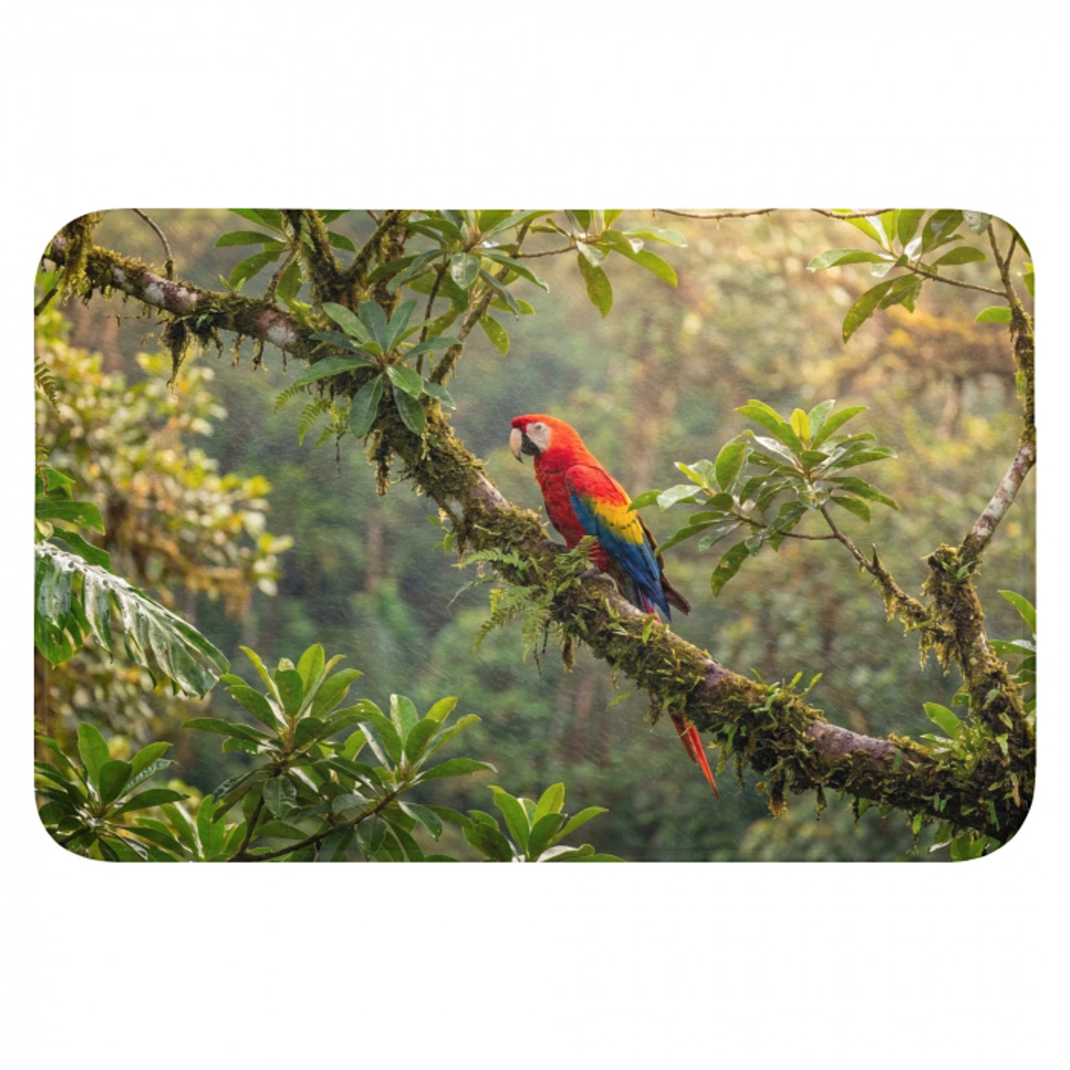 Ara - Jungle - Rood Badmat klein -3d