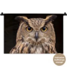 Oehoe - Uil - Portret - Bruin Wandkleed katoen klein -t3d_DE