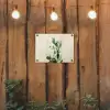 Cactus - Groen - Minimalistisch tuinposter los doek klein -sfeer1