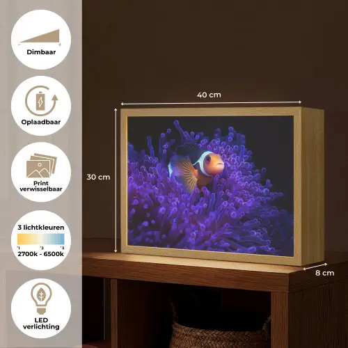 Koraal - Vis - Oranje - Zee Light Box met batterij (Wandlamp) middel -USP_websiteoverzichtNL