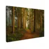 Bos - Natuur - Bomen - Landschap - Bladeren Tuinposter op houten frame 2 cm dik klein -3d