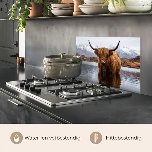 Schotse hooglander - Bruin - Water keuken achterwand spatscherm klein -usp_NL