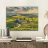 Toscane - Landschap - Wijngaarden PET vilt klein -sfeer1