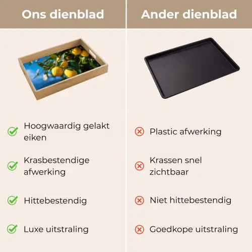 Citroenen - Bladeren - Blauwe lucht Dienblad Rechthoek middel -USP_VergelijkingNL