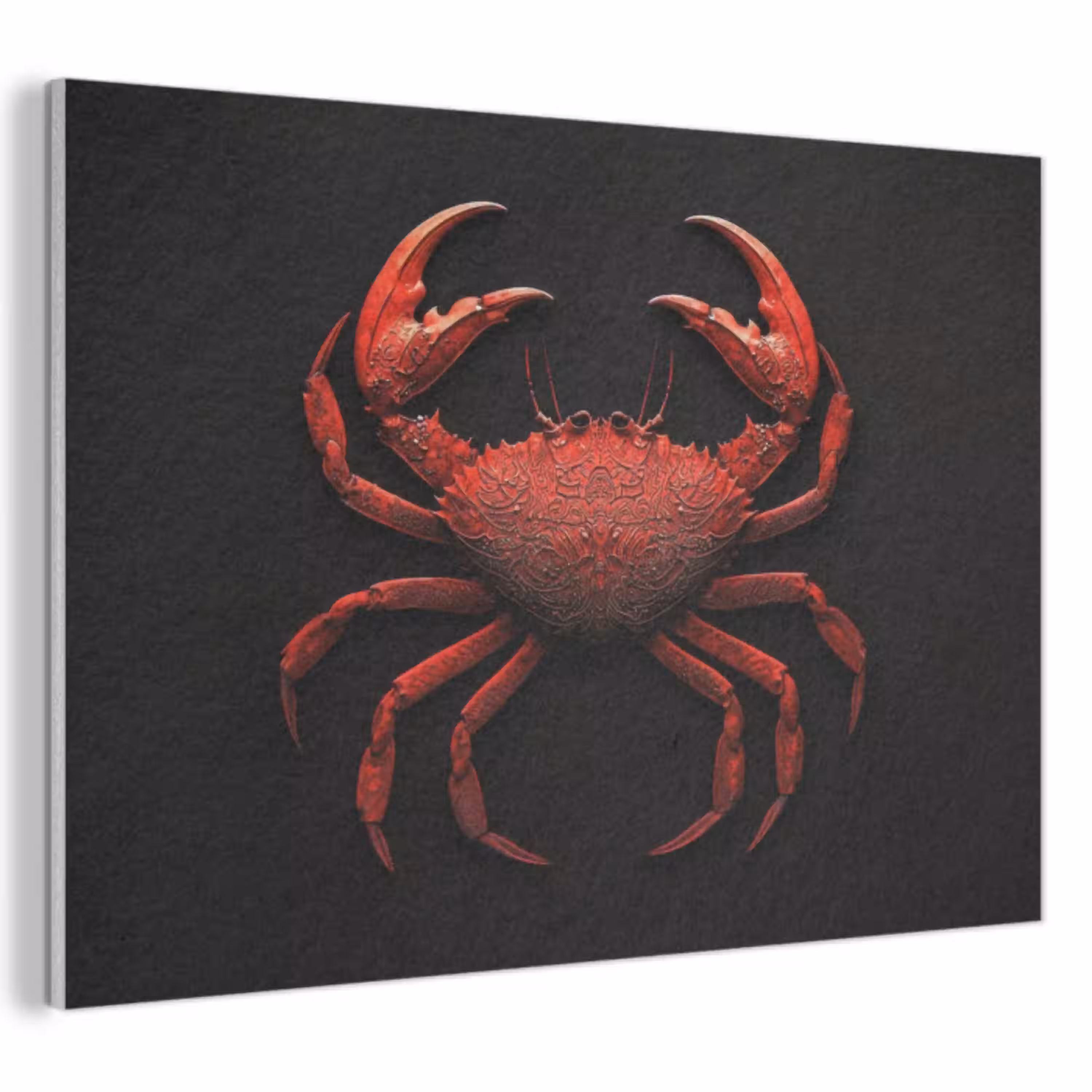Krab - Rood - Vissen - Schaaldieren PET vilt klein -3d