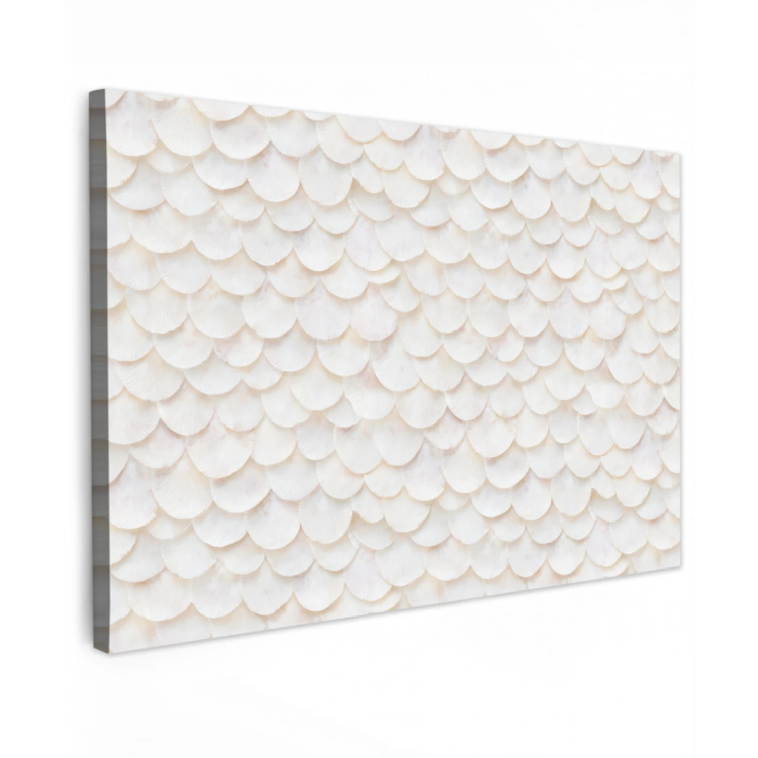 Schubben - Wit - Elegant Tuinposter op houten frame 2 cm dik klein 845 -3d