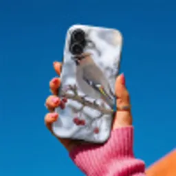 Pestvogel - Bessen - Winter - Natuur Toughcase MagSafe Apple iPhone 17 klein -Sfeer1V