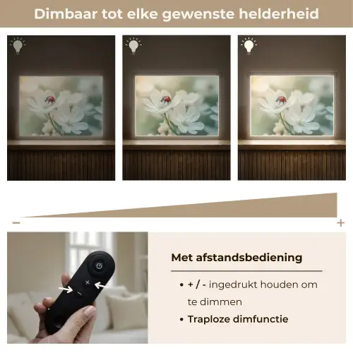 Lieveheersbeestje - Bloemen - Wit Light Box met batterij (Wandlamp) middel -USP_dimbaarNL