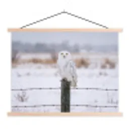 Sneeuwuil - Hek - Sneeuw - Wit textielposter latten blank klein -3d