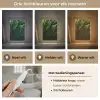 Bladeren - Schaduw - Groen - Textuur Light Box met kabel (Tafellamp) klein -USP_lichtkleurNL