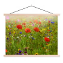 Lente - Bloemen - Rood - Klaproos - Gras - Groen textielposter latten blank klein -3d