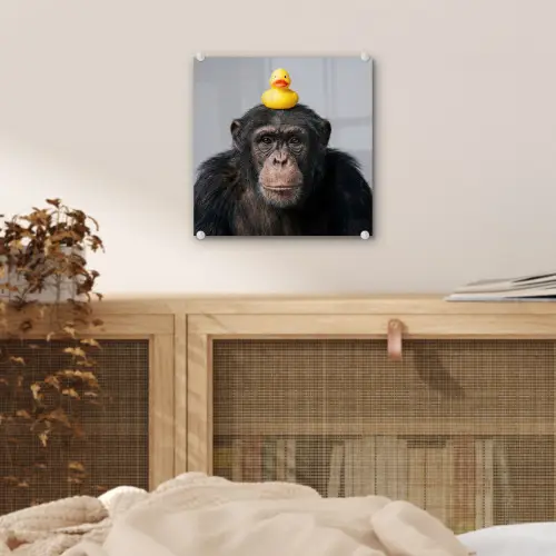 Chimpansee - Badeend - Grijs plexiglas 5mm klein -sfeer4
