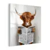 Schotse Hooglander - Dier - Krant - Toilet plexiglas 5mm klein -z3d