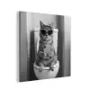 Kat - Telefoon - Toilet - Zwart - Wit aluminium wit klein -3d