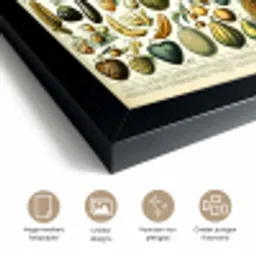 Fruit - Eten - Design - Vintage - Adolphe Millot fotolijst zwart zonder passe partout klein -sfeer2
