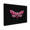 Vlinder - Roze - Nachtvlinder canvas 2cm klein -z3d