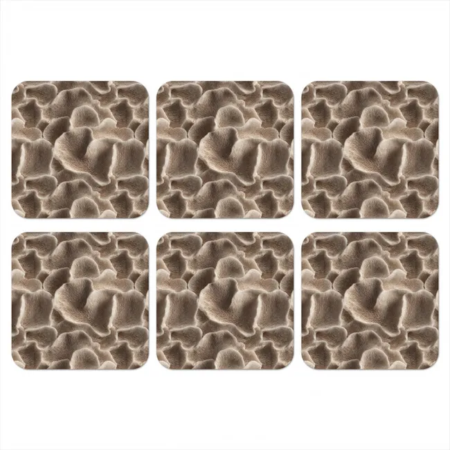 Onderzetter - Waaiervorm - Beige - Vezel textuur