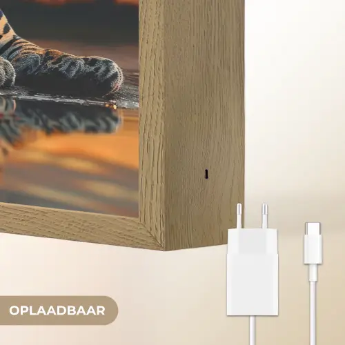 Natuur - Luipaard - Dier - Zonsondergang - Modern Light Box met batterij (Wandlamp) middel -USP_websiteoplaadbaarNL