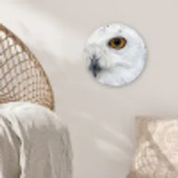 Sneeuwuil - Oog - Wildlife - Wit Wandcirkel kunststof plaat 5mm dik klein -sfeer5