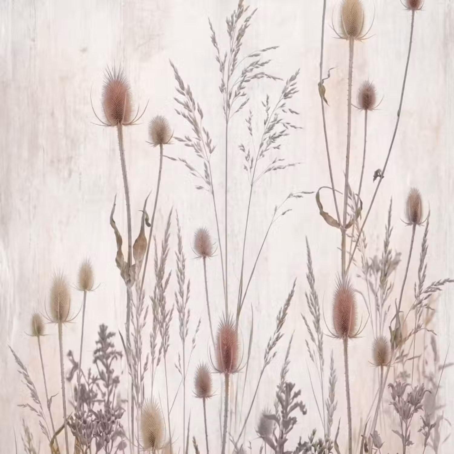 Tapete - Wiesenblumen - Gestaltung - Sepia