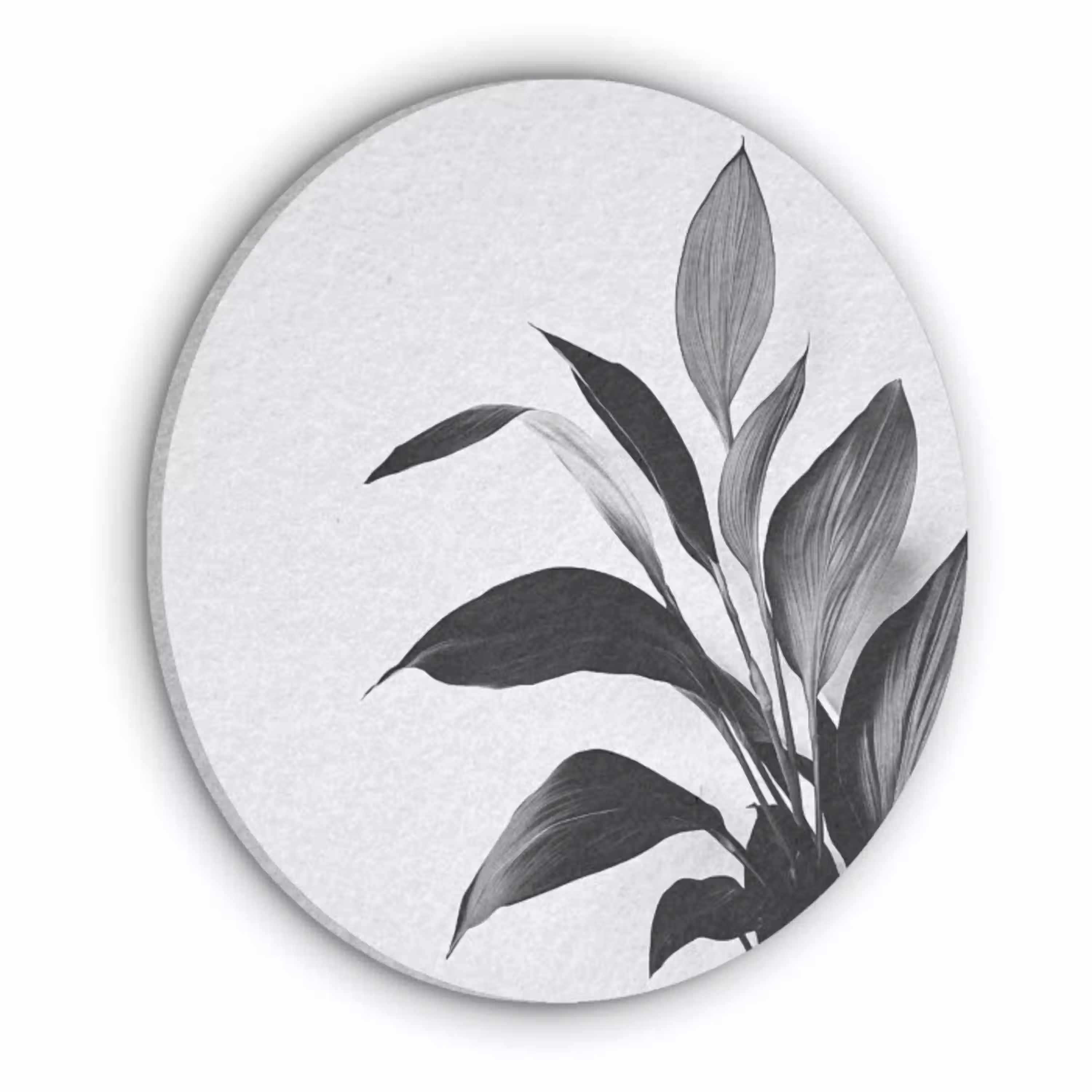 Plant - Bladeren - Minimalistisch - Zwart Akoestische PET Vilt - Rond klein -3d