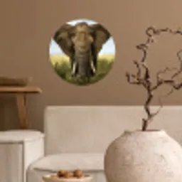 Olifant - Natuur - Gras - Dieren - Landschap Wandcirkel behangsticker klein -sfeer1