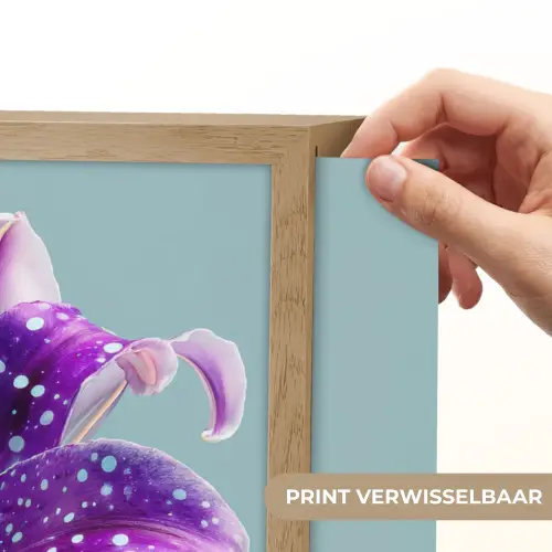 Lelie - Bloem - Paars - Stippen Light Box met batterij (Wandlamp) middel -USP_websiteprintNL