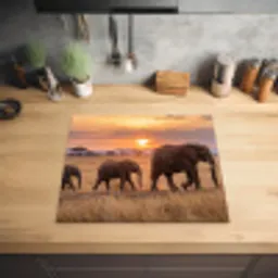 Olifanten - Savanne - Zonsondergang - Afrika - Warm Inductie beschermer vinyl 3mm middel -sfeer5