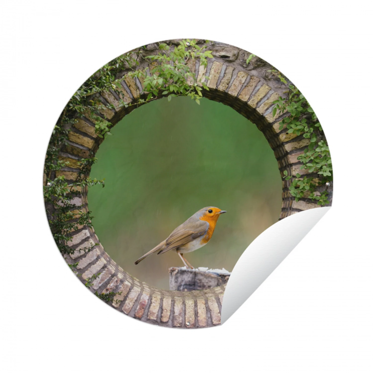 Vogel - Doorkijk - Roodborstje Wandcirkel tuinposter met ringen klein -3d