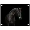 Paard - Dieren - Zwart - Portret tuinposter los doek klein -3d