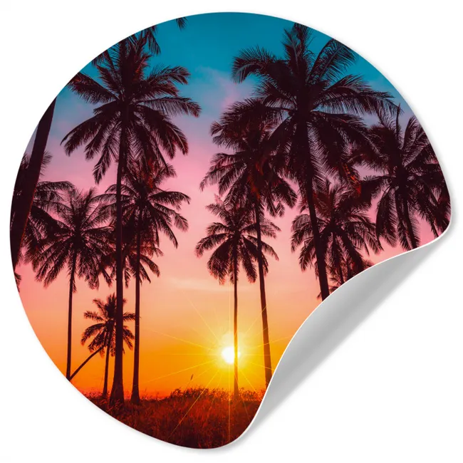 Palmboom - Zonsondergang - Horizon - Strand - Oranje - Roze Wandcirkel behangsticker klein -3d