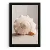Schelp - Detail - Beige fotolijst zwart zonder passe partout klein -3d