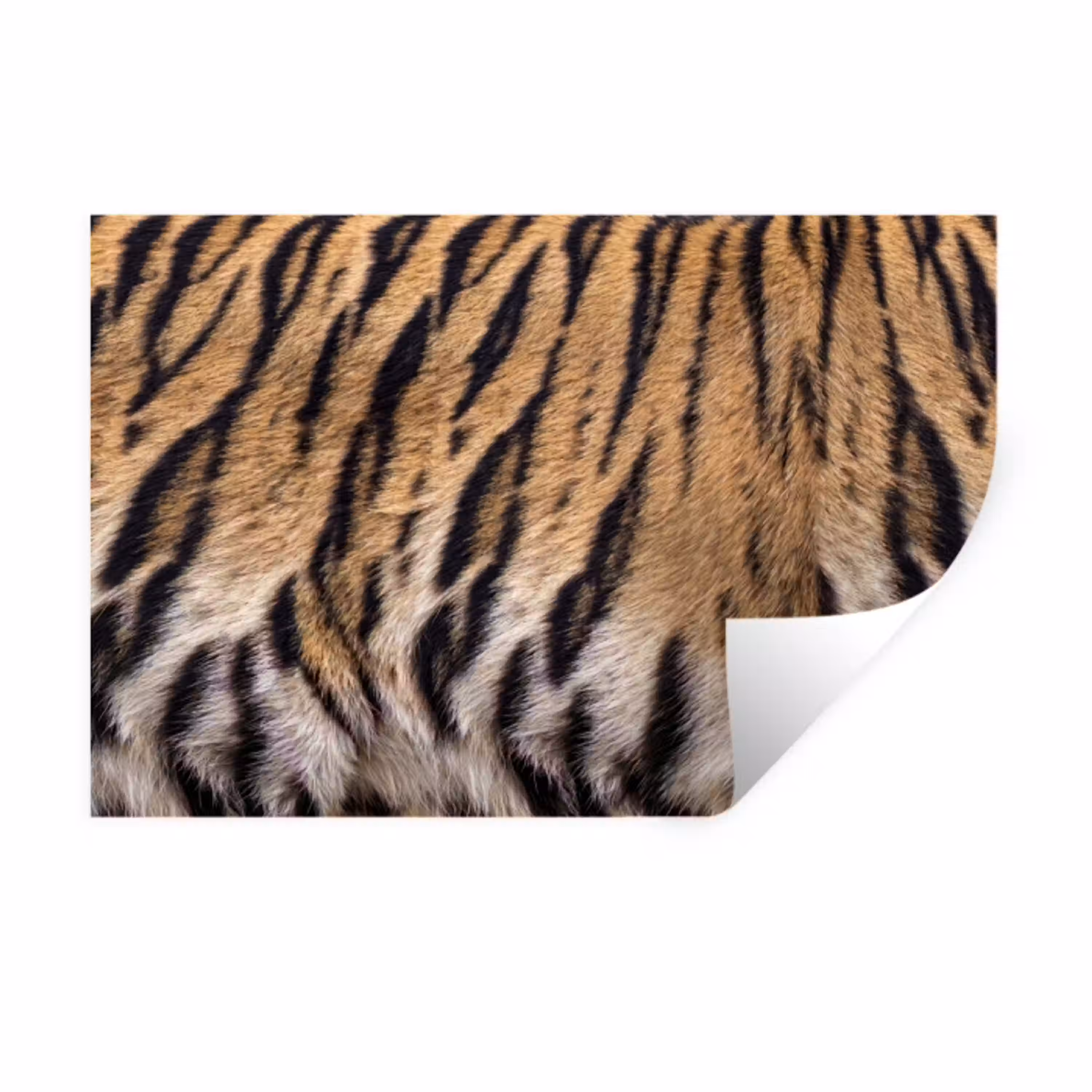 Tijgervacht - Klassiek - Zwart Muursticker klein -3d