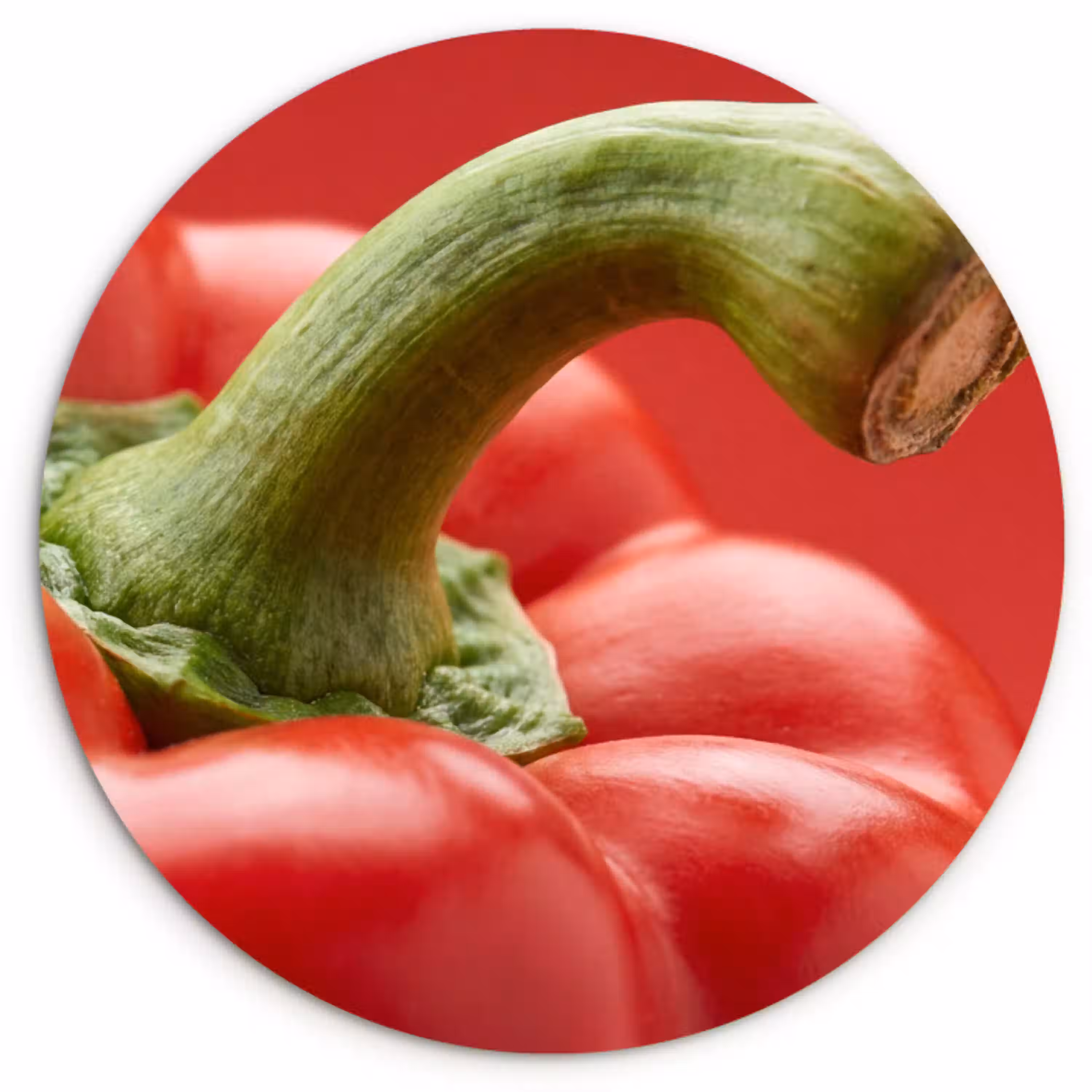 Eten - Paprika - Rood Wandcirkel kunststof plaat 5mm dik klein -3d