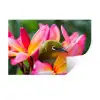 Tropische vogel tussen roze bloem Muursticker klein -3d