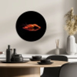 Kreeft - Oranje - Zwart - Opvallend KitchenYeah - Keuken - Wandcirkel Forex klein -sfeer2
