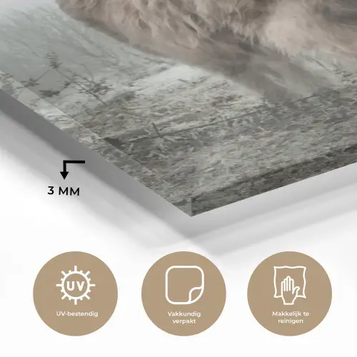 Schotse Hooglander - Bos - Mist - Koe - Dieren - Natuur plexiglas 5mm klein -sfeer2